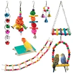 Jaulas y Accesorios