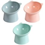 PLATO ALTO PARA GATOS