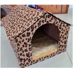Casa Animal Print