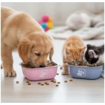 Comedero Cuadrado Premium para Mascotas - Acero Inoxidable con Exterior de Color