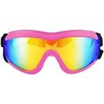 Gafas de Sol de Moda para Perros